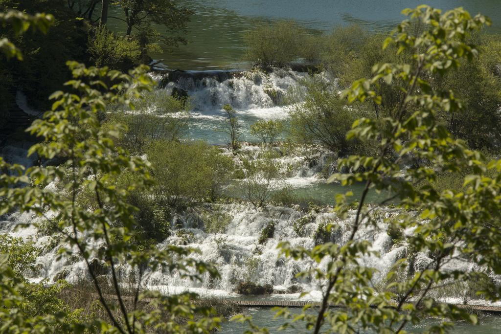 Near The Lakes *