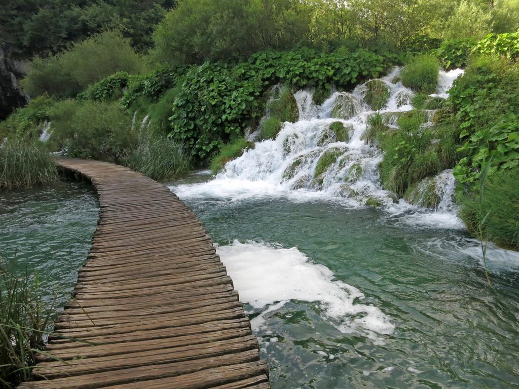 Near The Lakes * Plitvicka Jezera