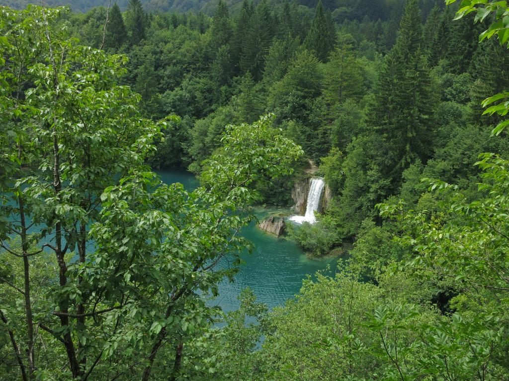 Near The Lakes *